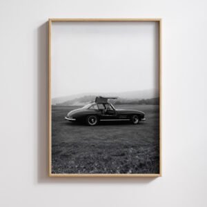 Mercedes 300 SL Gullwing poster