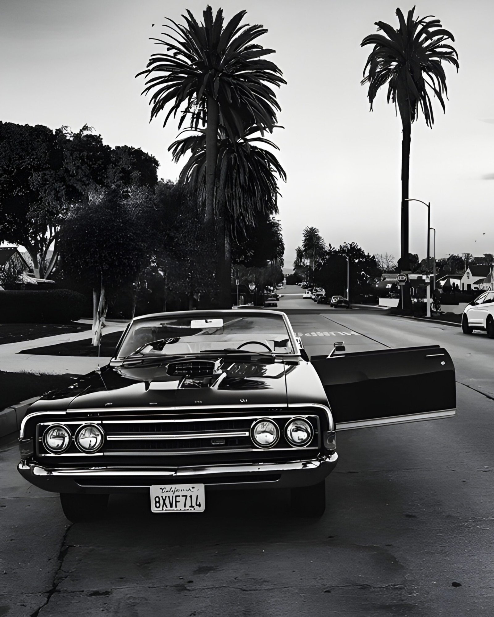 Chevrolet Impala wall art with a black convertible on a palm-lined residential street