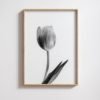 black and white lily wall art