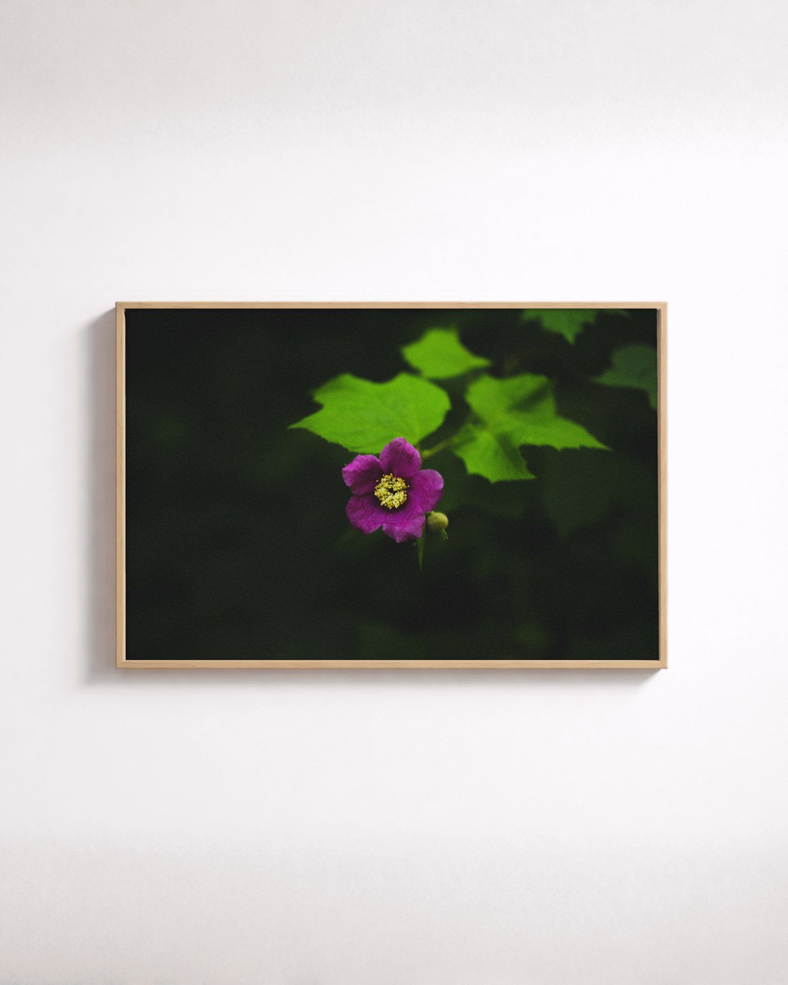 Flowering Raspberry by Shazard R., shown framed in natural oak on a white wall