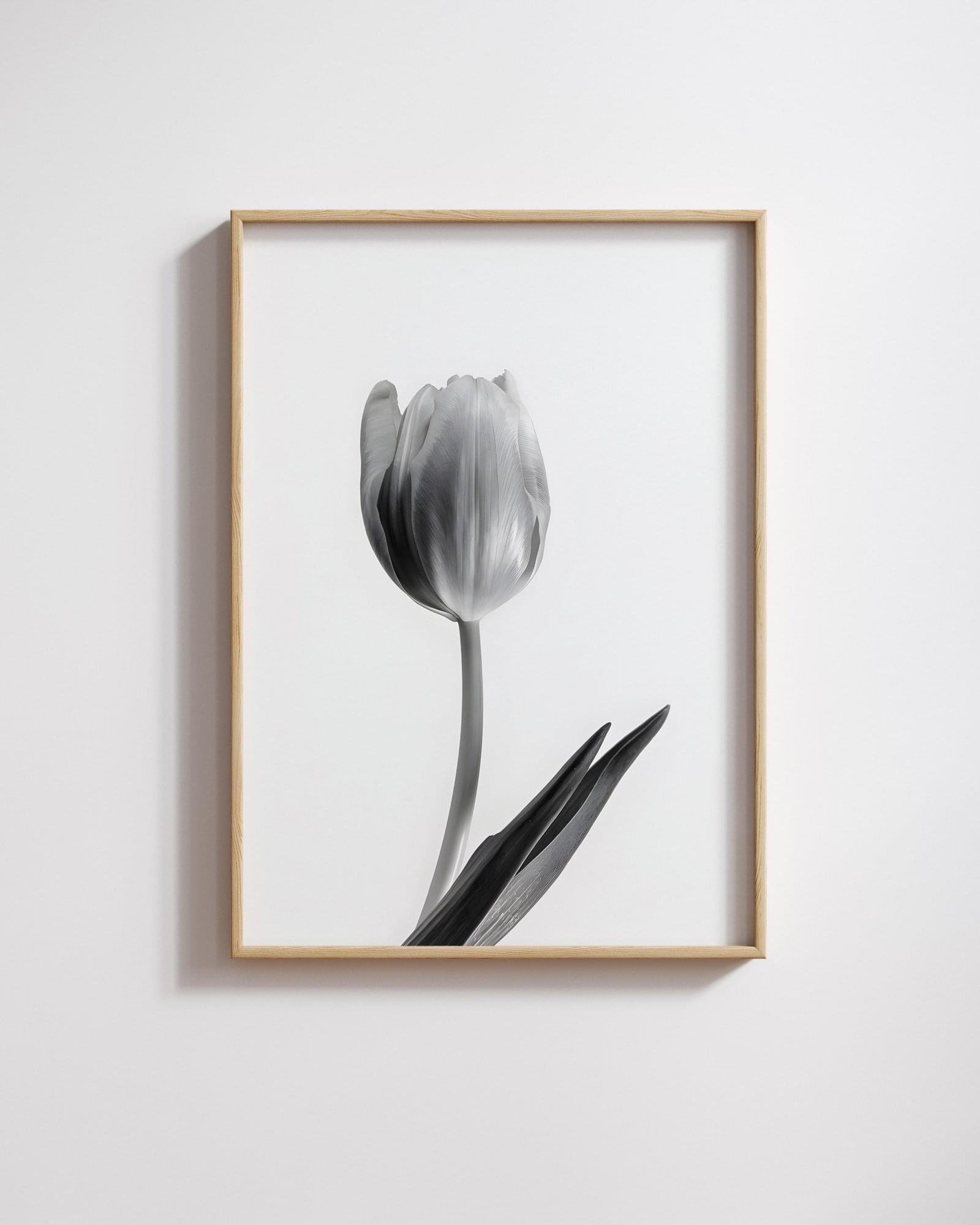 black and white lily wall art